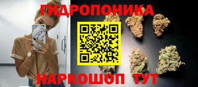 a pvp Будённовск