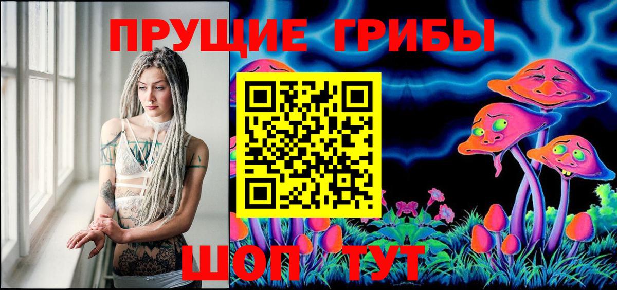Галлюциногенные грибы Psilocybine cubensis Мытищи